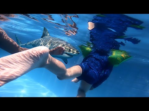 Passeio em família ( praia de tibau) Rio grande do norte, parte 2 