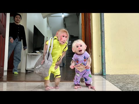 Bibi and Lala are excited to go to a restaurant!