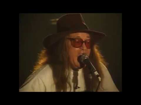 Meic Stevens - Bibopalwla'r Delyn Aur