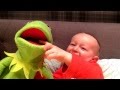 Kermit The Frog And Finlay Muppetsmostwanted