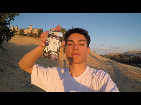 Stiiizy Blue Sunshine CART REVIEW