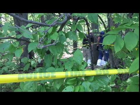 Discovery of synthetic skull in wooded area sparks Worcester police investigation