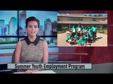 Sussex Summer Youth Employment