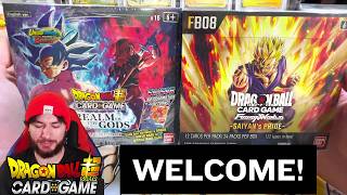 WATCH THIS IF YOURE NEW! | Dragon Ball Card Collecting!