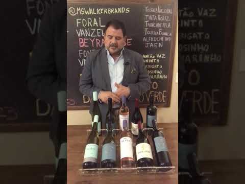 Augusto Gabriel | MS Walker Wines of Portugal