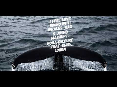 Nora En Pure Feat. Chic Loren (Rax & Josho Mashup) - I Feel Love Diving With Whales
