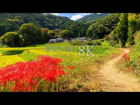 [Homeland of the Gods] 22 cenários originais nostálgicos encontrados no Katsuragi Kodo - Nara, JAPÃO em 8K