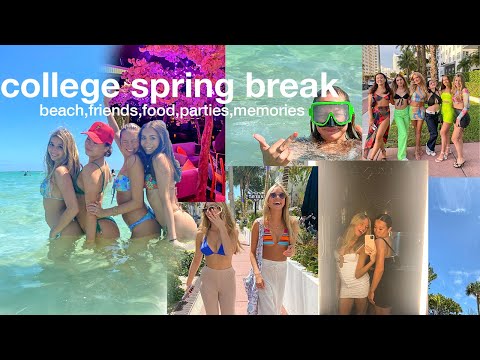 spring break college edition 🌴 2022