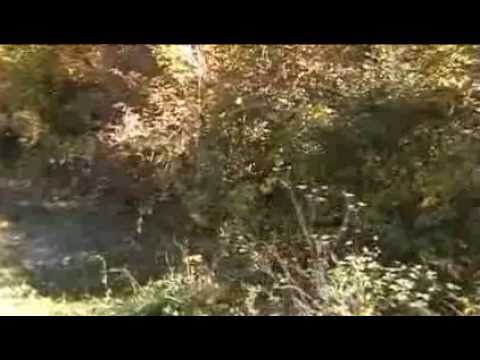 Mulliri i Idriz Seferit - Caravajkë