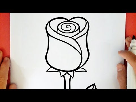 Come Si Disegna Una Rosa Video Come Disegnare