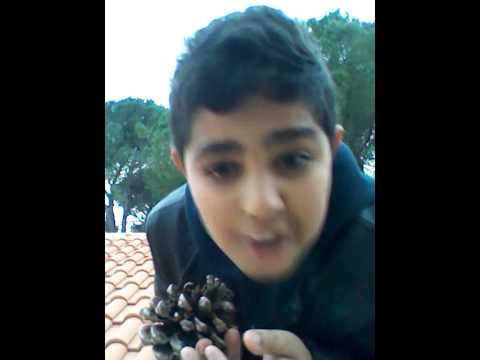 Faccio volare la pignia