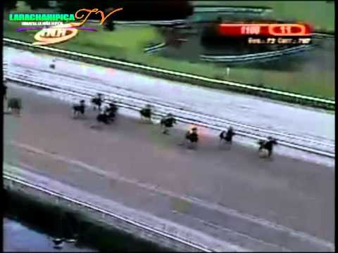 LA RINCONADA 11 CARRERA DOMINGO 14 DE SEPTIEMBRE DEl 2014