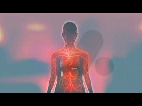 Medical Animation