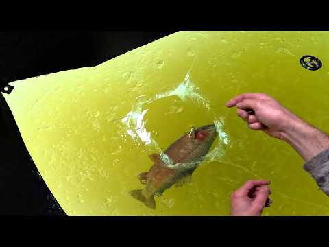 2 INCHES of ICE vs Massive Rainbow!