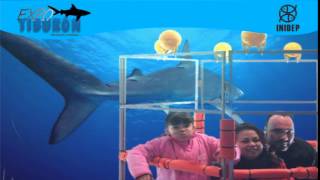 DIA 2 Expo Tiburon303