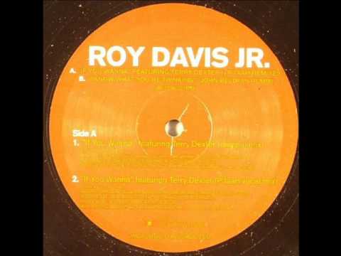 Roy Davis Jr.ft Terry Dexter - If You Wanna (P'Taah Vocal Mix)
