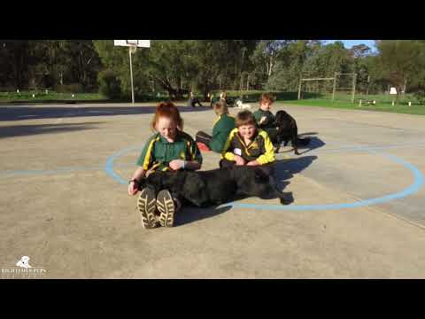 The Chemistry of Connecting!