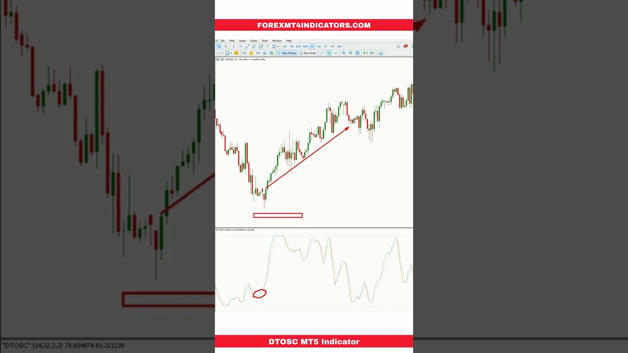DTOSC MT5 Indicator