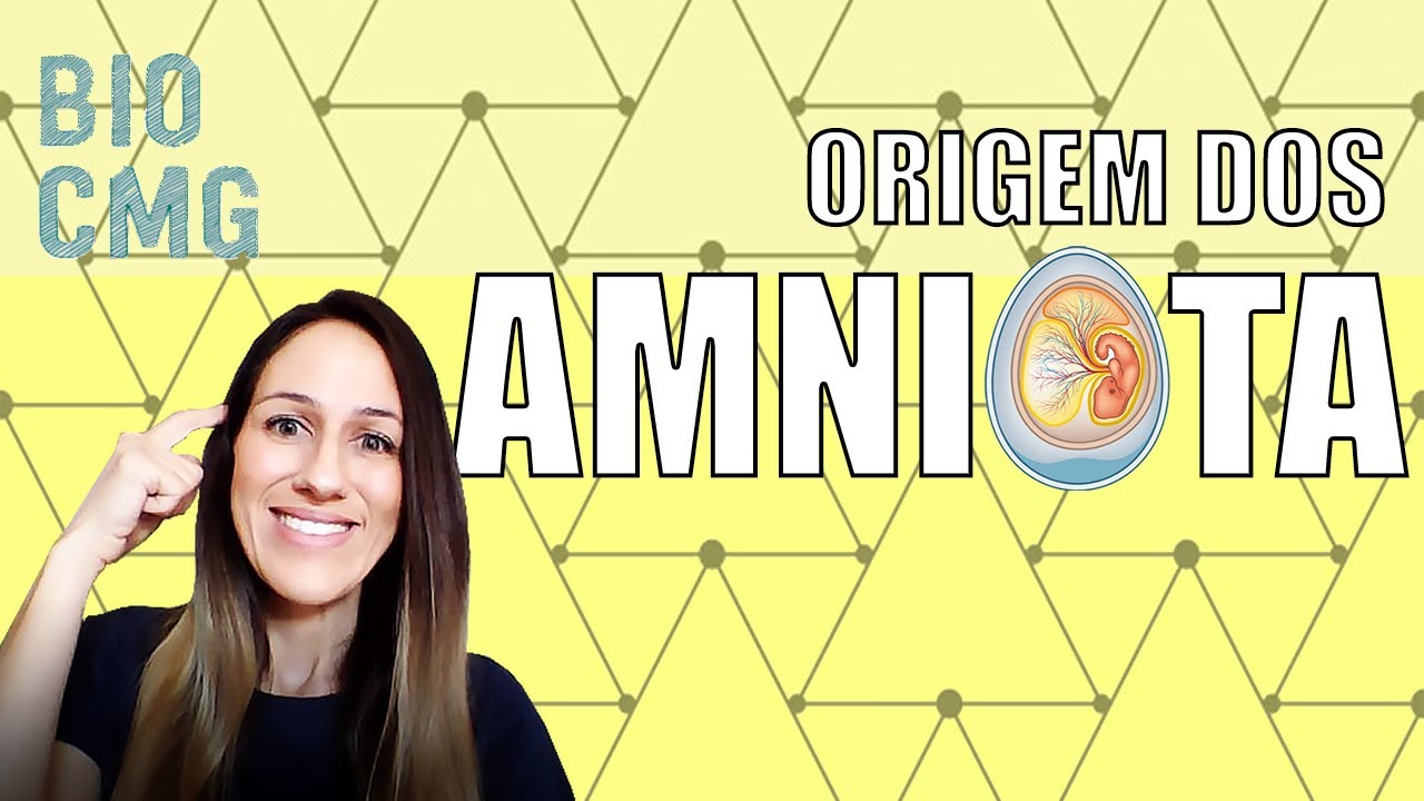 Origem dos Amniota: conquista definitiva do ambiente terrestre