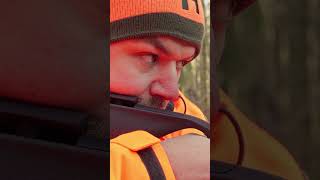 Hirschglück in Hessen 🦌 von  ⁨@wildhuntblackforest4494⁩