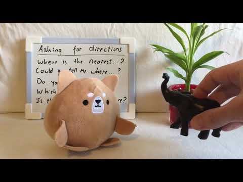 Essential English Phrases For Asking For Directions