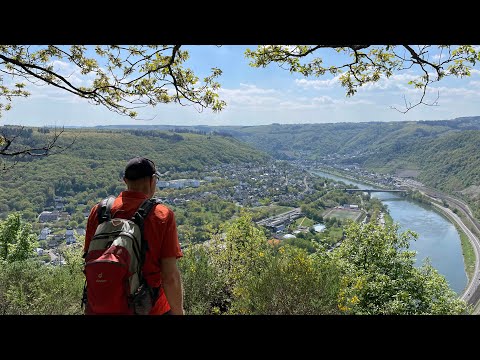 Wandelen langs de Moezel - Moselsteig etappe 19a - Cochem-Klotten