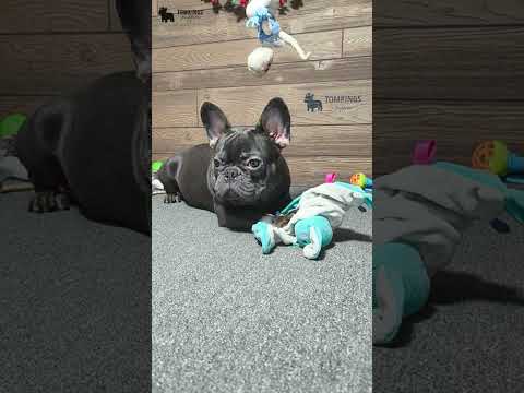 Video 1