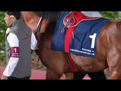 7th Race Meeting of Season 2019/2020