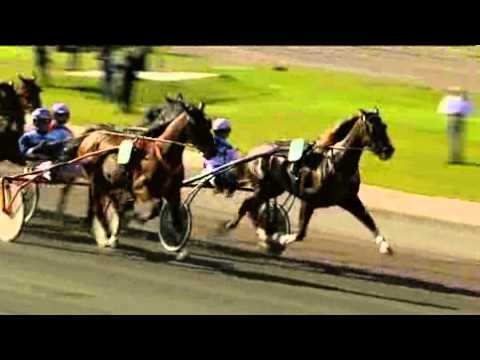 Aby Stora Pris 1st Heat 2009 -Torvald Palema