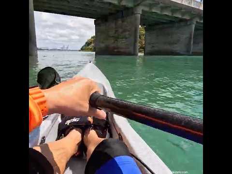 Hobson Bay #surfski #kayaking #estuary #newzealand