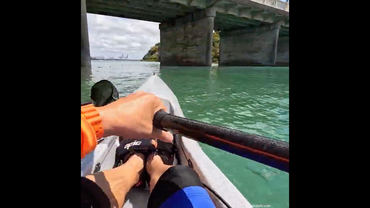 Hobson Bay #surfski #kayaking #estuary #newzealand