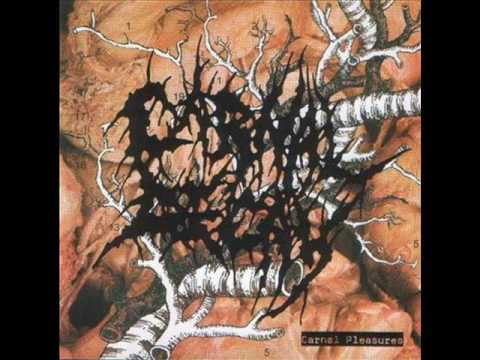 Carnal Decay-Molesting the dead
