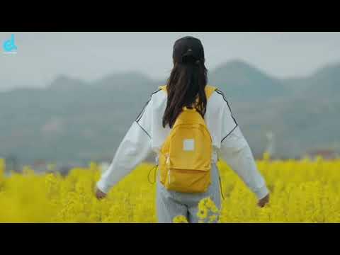 [ Lyrics, Vietsub ] Walk away - LVNDSCAPE ft. Kaptan || SONG OF ALL TIME || CLNMUSIC