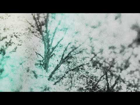 Video thumbnail for Opiates