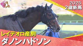ダノンハドソンが評判馬2頭を破って快勝！Ｃ.デムーロ騎手「息も乱れていなかった」2025年12月13日(土)２歳新馬　阪神芝1800m　実況：川島壮雄【カンテレ公式】