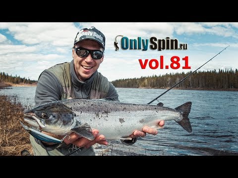 Кольский полуостров Ловля семги Часть 1 #OnlySpin