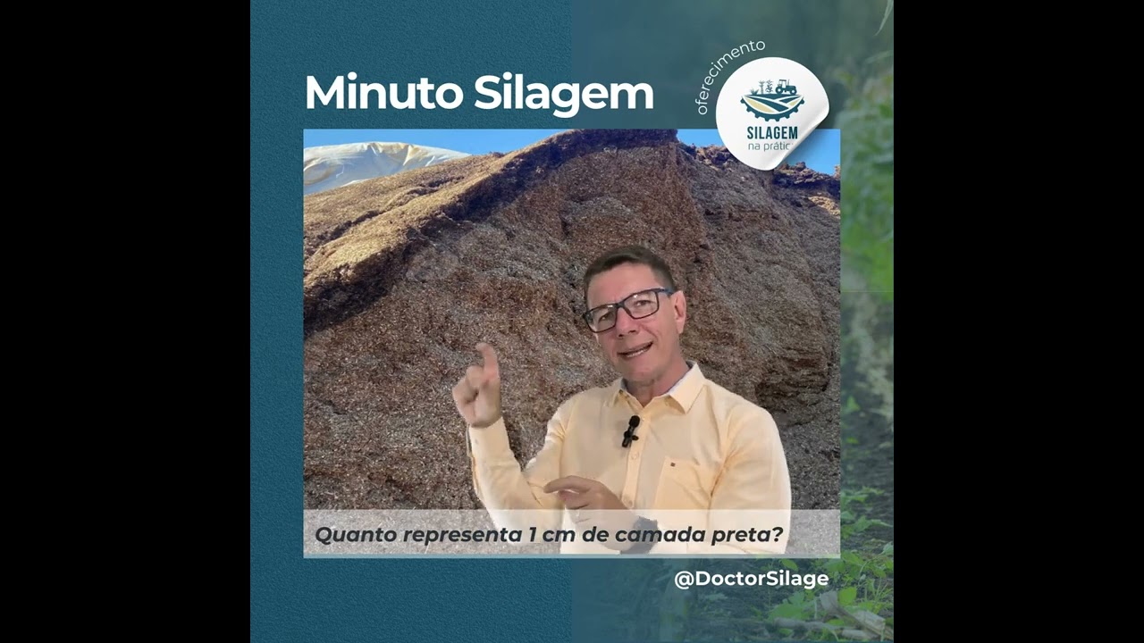 Camada preta é um problema grave de entrada de oxigênio para dentro do silo