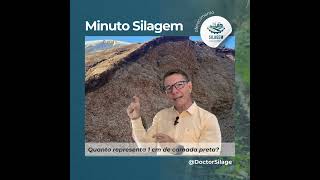 Camada preta é um problema grave de entrada de oxigênio para dentro do silo