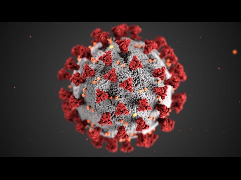 "The Decameron Project" BY: GROUP 4 (Chenxi Lin, Adrienne Cui, Anashe Ufumaka, and Tiana Howard)