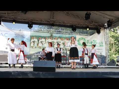 Ansamblul Magura Cernesti , Maramures