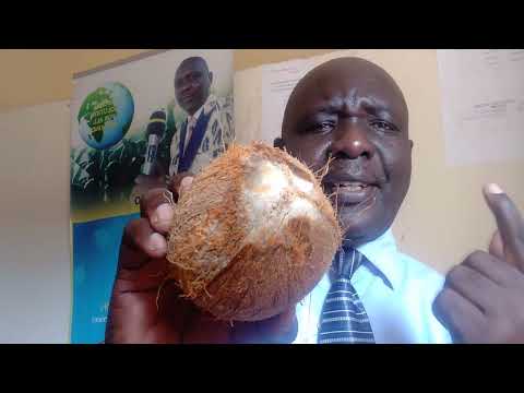 OPEN YOUR SPIRITUAL EYES THIS WAY