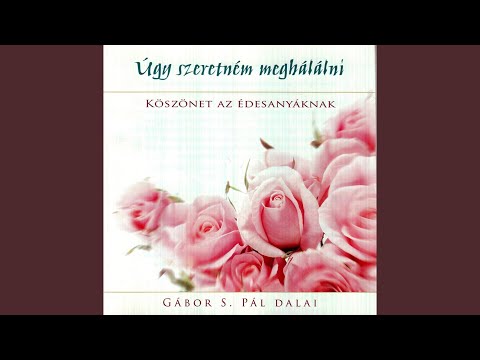 Hosszú forró nyár (Várlak még)