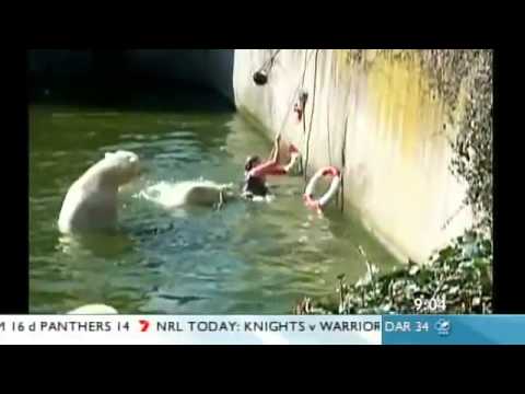Polar Bear attack! Berlin woman falls into zoo enclosure