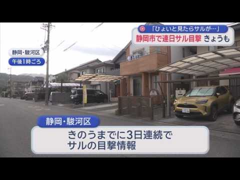 YouTube Video 「ひょいと見たらサルが…」住宅地で4日連続サルが出没　小学校では登校時に職員が警戒　静岡市　