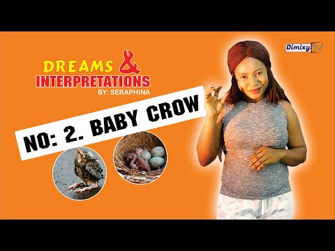 2. BABY CROW (Dream and interpretation - by Seraphina)