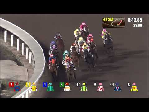 30/3/2022 (544) Happy Tango - K Teetan