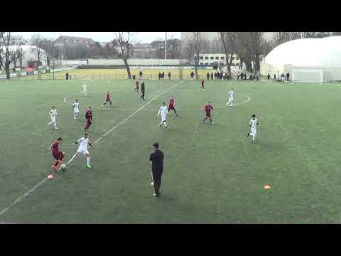 Vorbereitungsspiel gegen Red Star - 3.3.2019 (17:13 min)