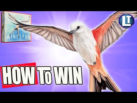 WINGSPAN Game / HOW DO YOU WIN With An AVERAGE START? / STRATEGY Tips and Ideas