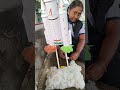 Chandrayaan 3 School Project 2025