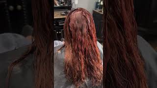 Getting Rid of Bleach & Going a Deep Rich Red-Brown. Hair by Elonataki